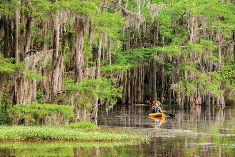 Caddo Lake, Texas/Louisiana