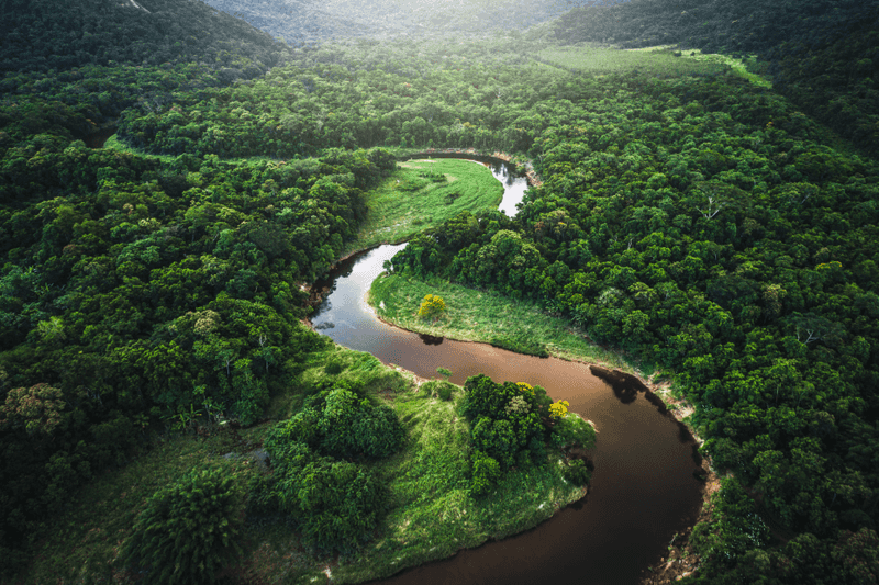 The Amazon Rainforest, Brazil
