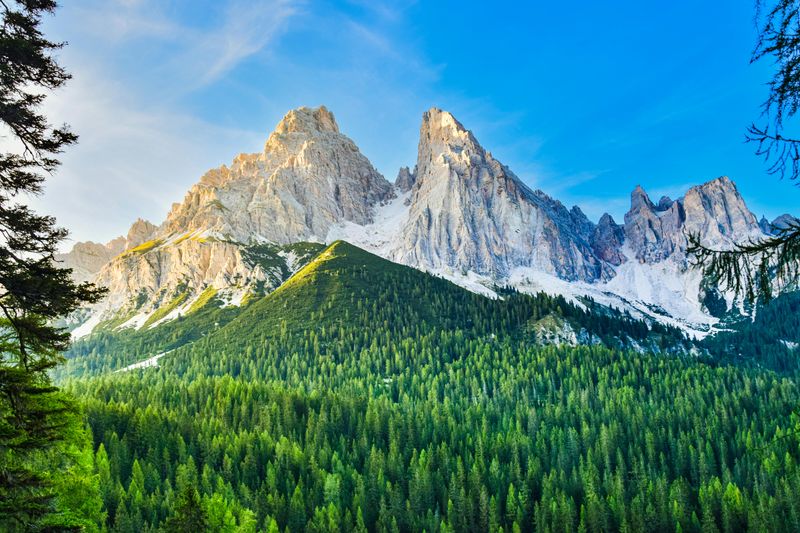Dolomites' Enchanted Forests