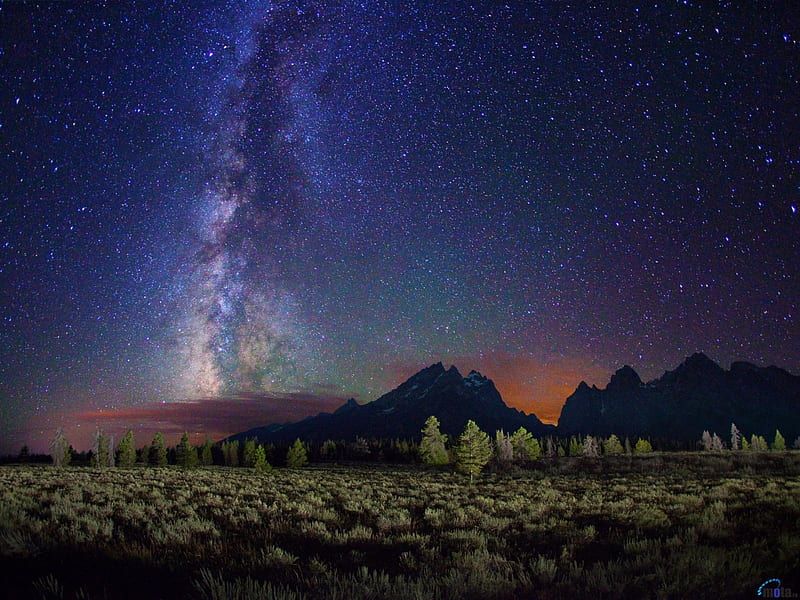 Starry Night Skies