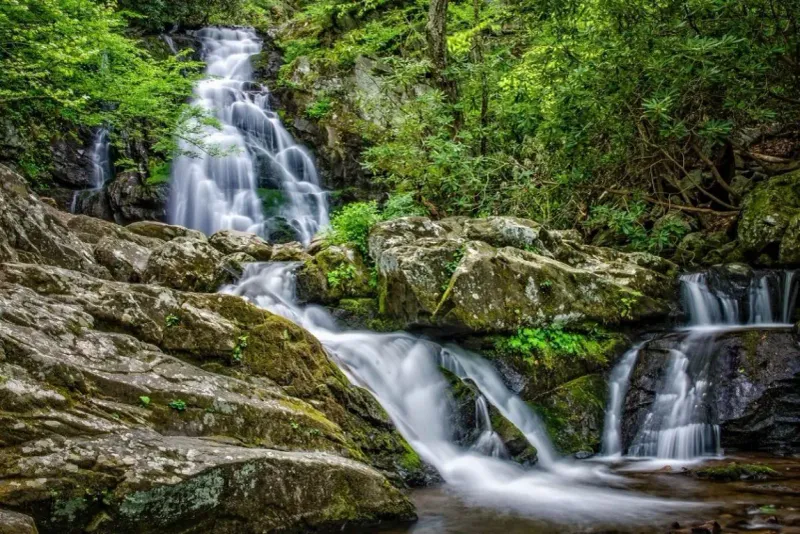 Hidden Waterfall Oasis