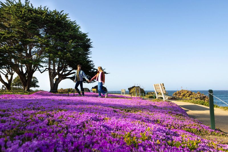 Pacific Grove