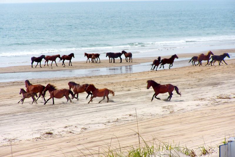 Outer Banks, North Carolina