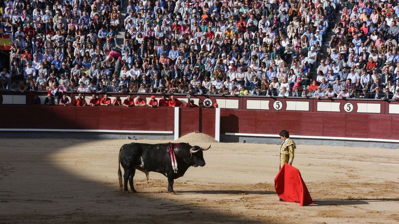 Myth 4: Bullfighting is Widely Popular
