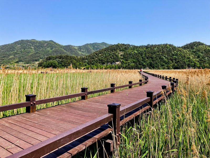 Suncheon Bay Wetland Reserve