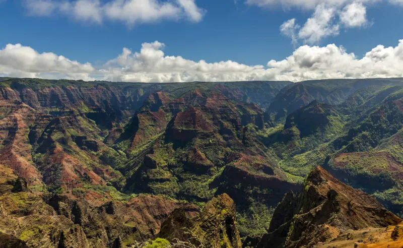 Waimea Canyon Views