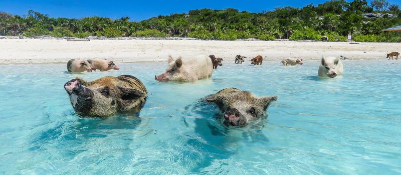 Staniel Cay, Exuma