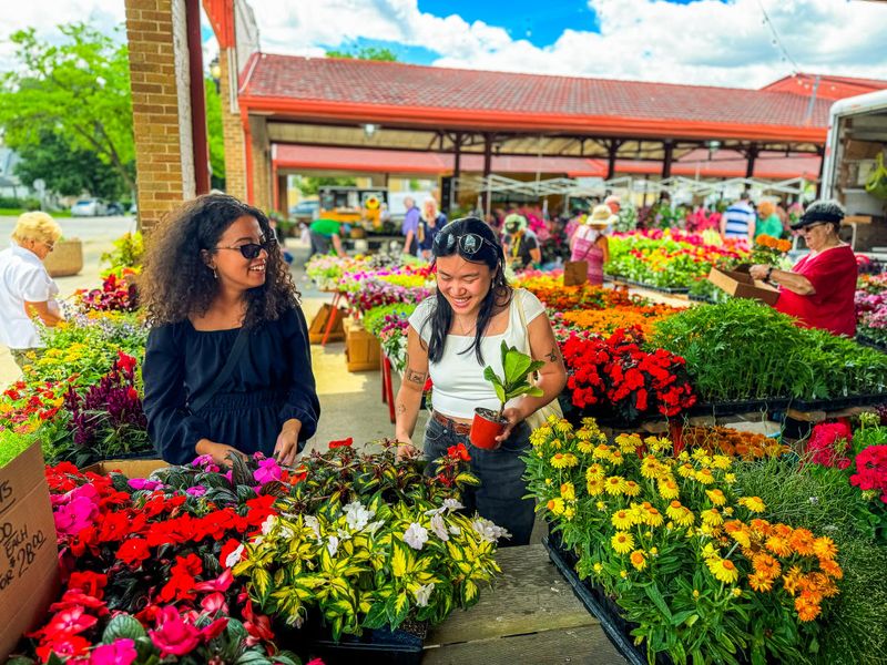Charming Farmers Market