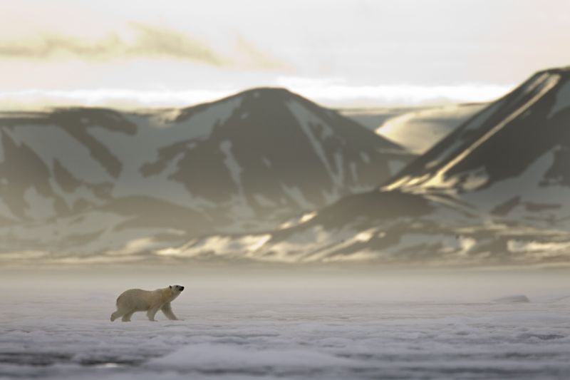 Experiencing the Midnight Sun in Svalbard