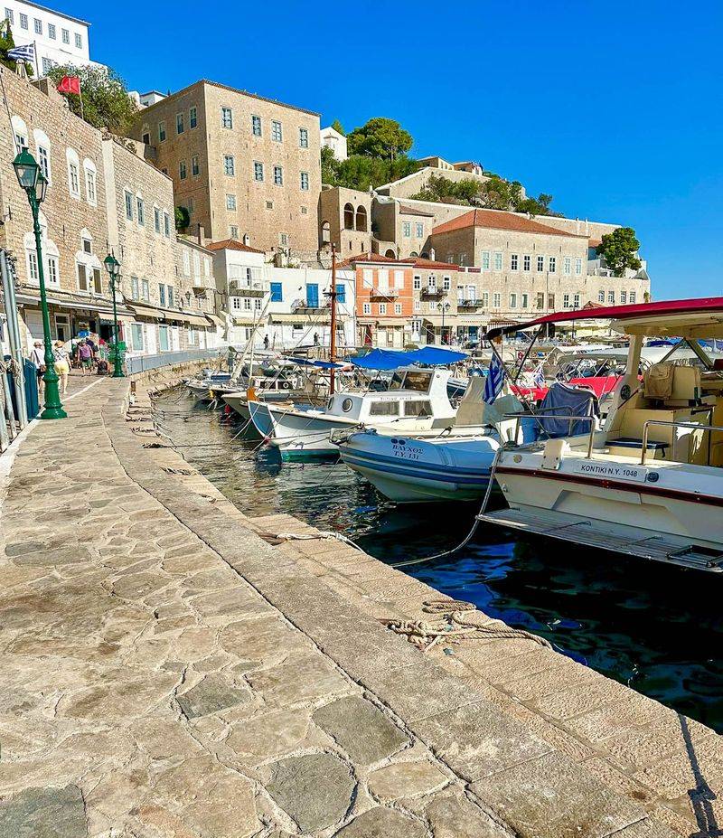 Hydra