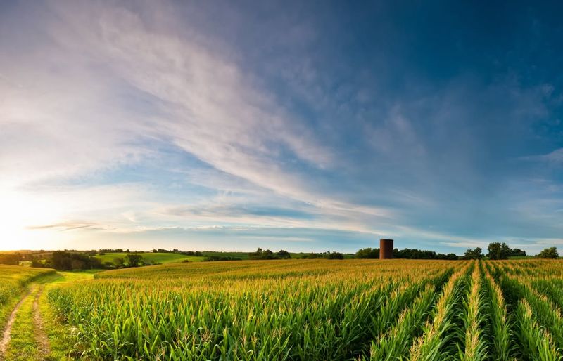 Iowa