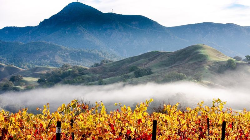 St. Helena