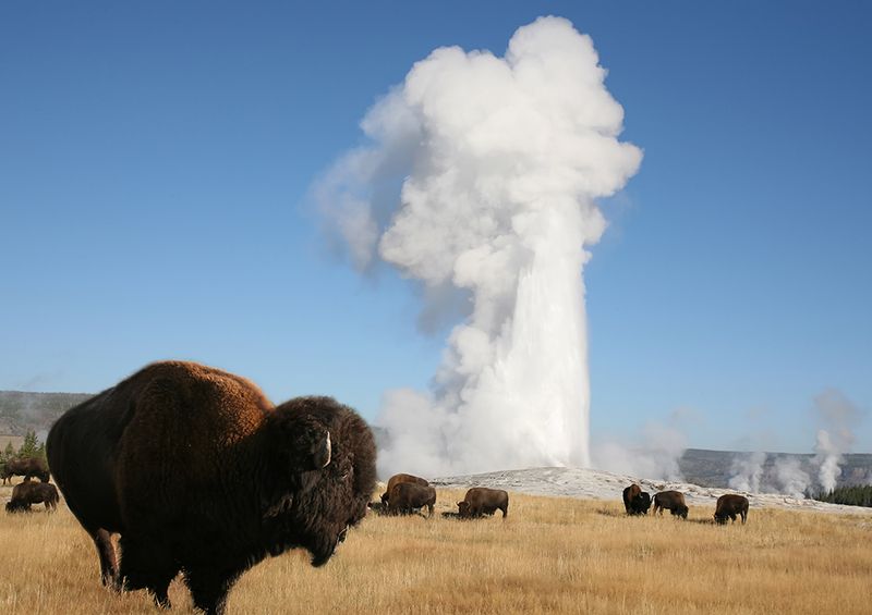 Yellowstone National Park, Wyoming