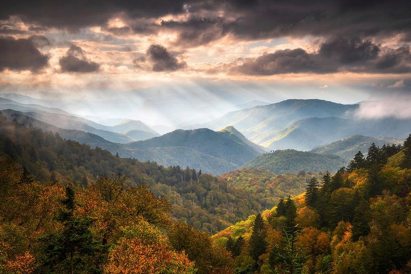 North Carolina: Great Smoky Mountains National Park