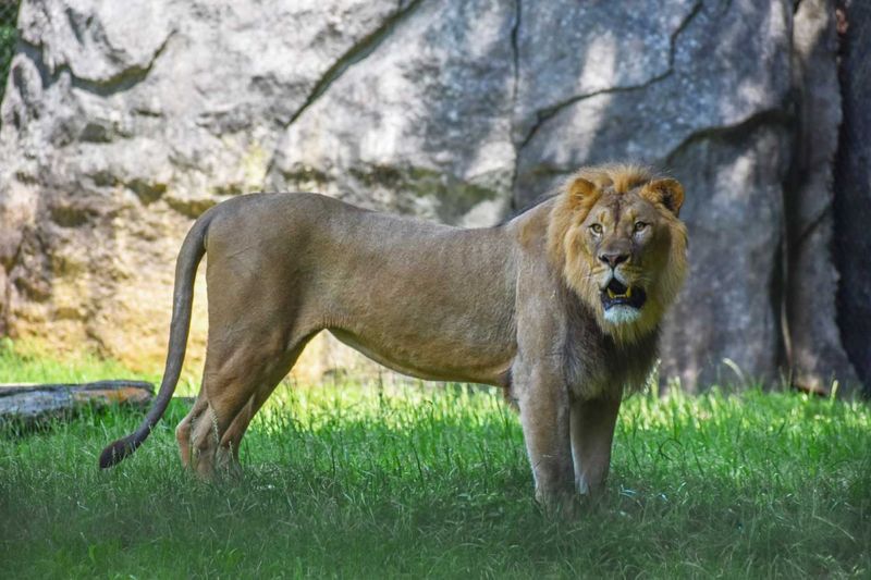 North Carolina - North Carolina Zoo
