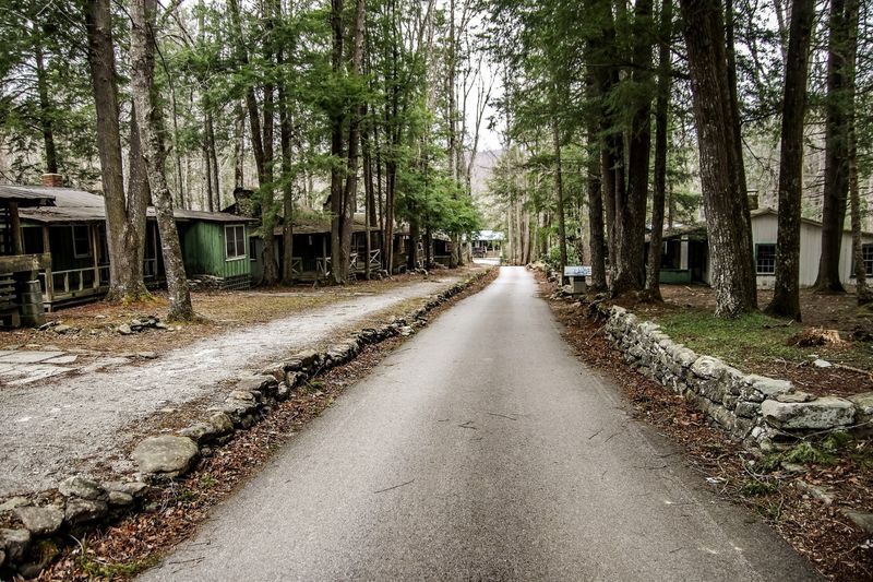 Elkmont Ghost Town: Echoes of the Past