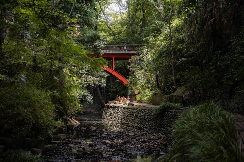 Todoroki Valley Nature Retreat