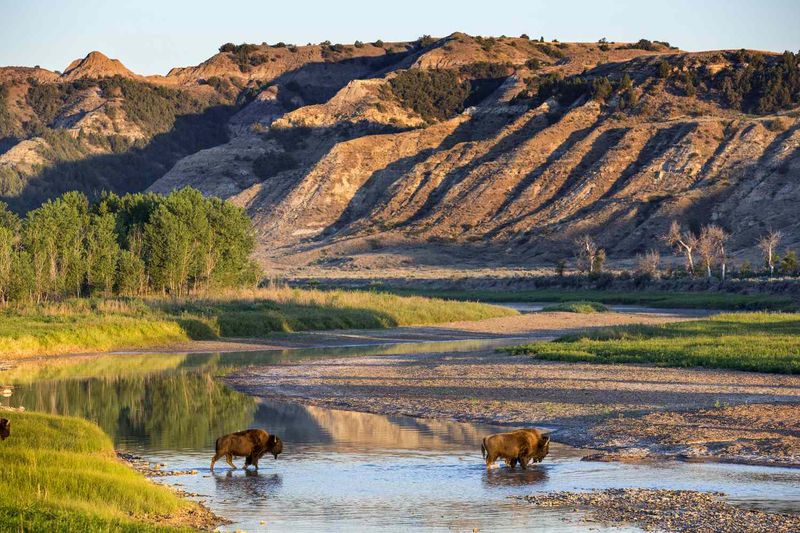North Dakota: Theodore Roosevelt National Park