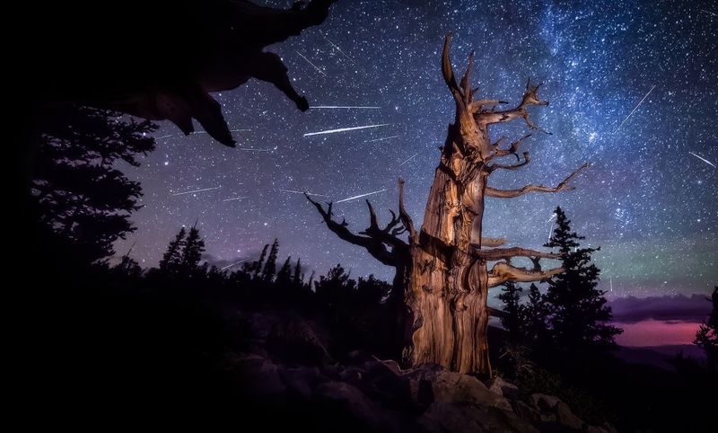 Great Basin National Park