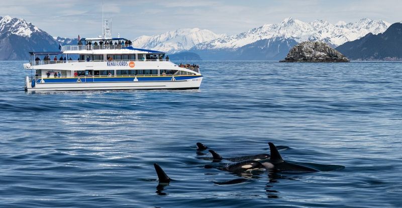 Kenai Fjords National Park, Alaska