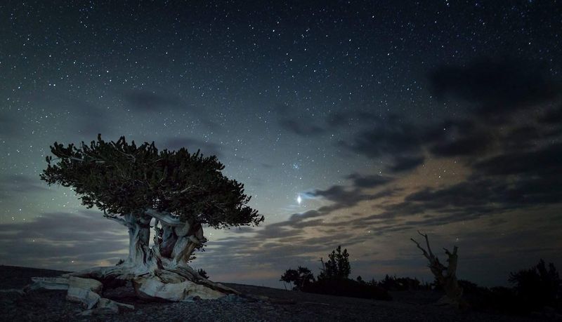 Great Basin National Park