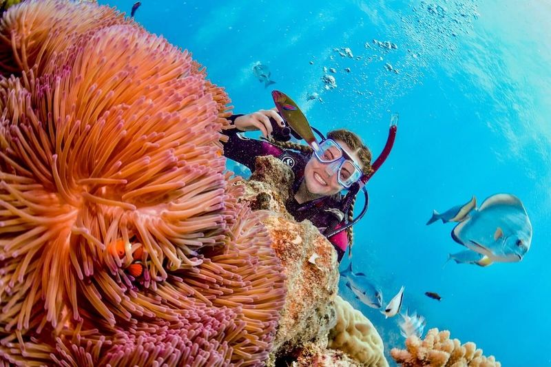 Exploring the Great Barrier Reef