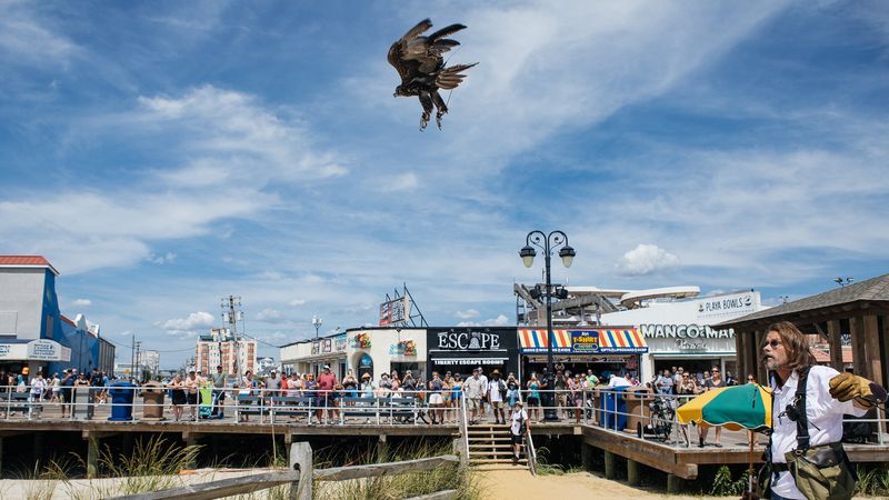 Seagull Shores