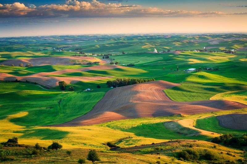 The Palouse, Washington