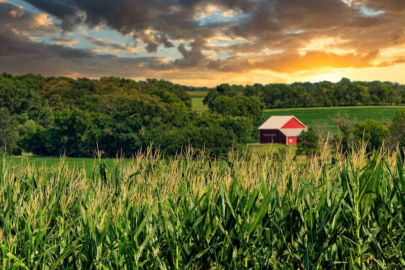 Nebraska: The Cornhusker State
