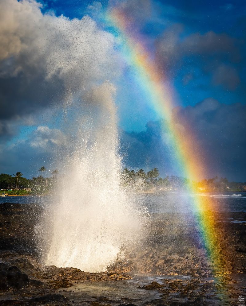 Spouting Horn