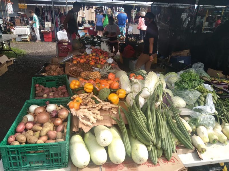 Explore Local Markets at Dawn