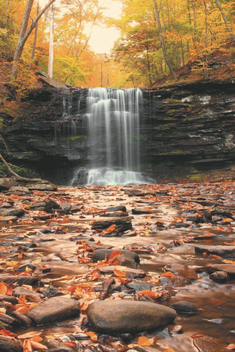Pennsylvania: Ricketts Glen State Park