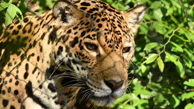 Pennsylvania - Philadelphia Zoo