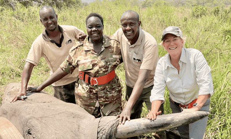 Wildlife Conservation in Kenya