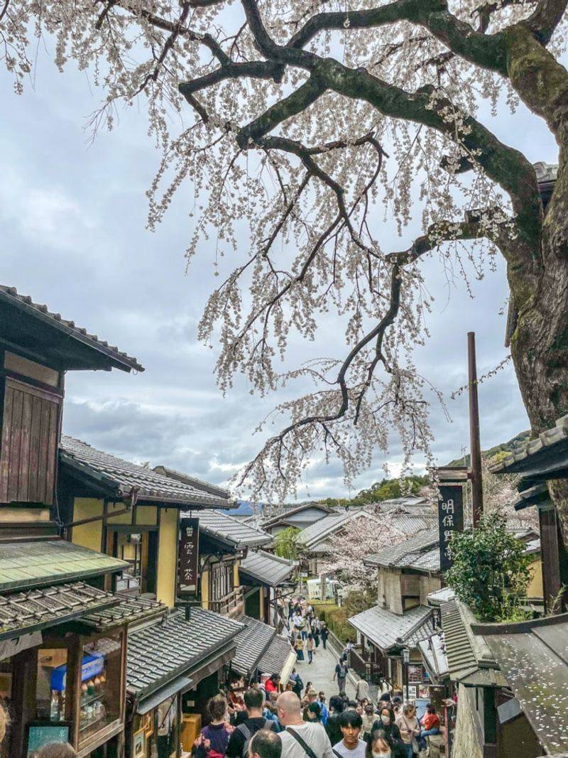 Kyoto, Japan