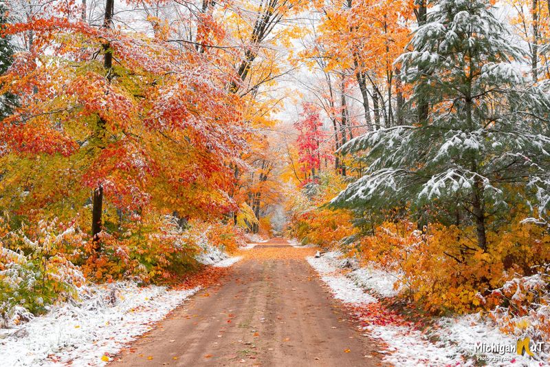 Hiawatha National Forest