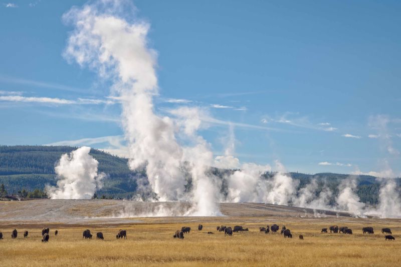 Yellowstone National Park