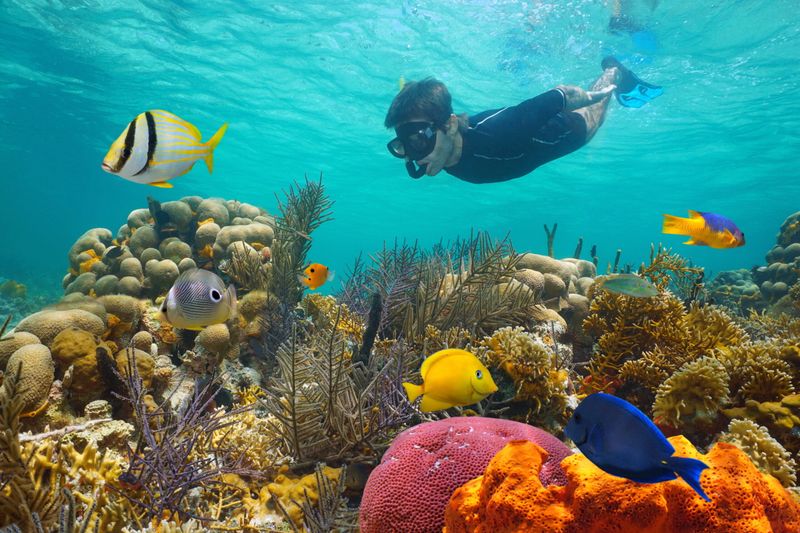Snorkeling
