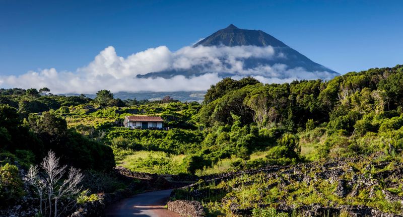 Pico Island Natural Park