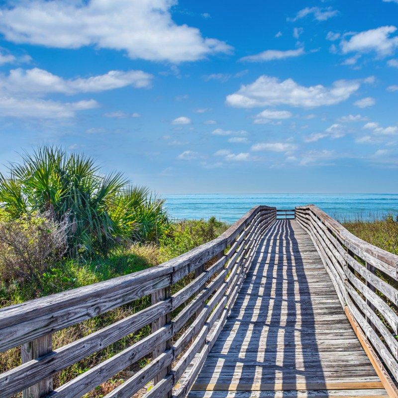 Honeymoon Island State Park