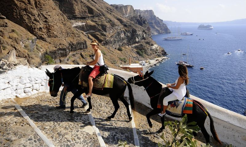 Santorini Donkey Rides