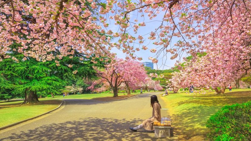 Tokyo: Beyond the Neon Lights