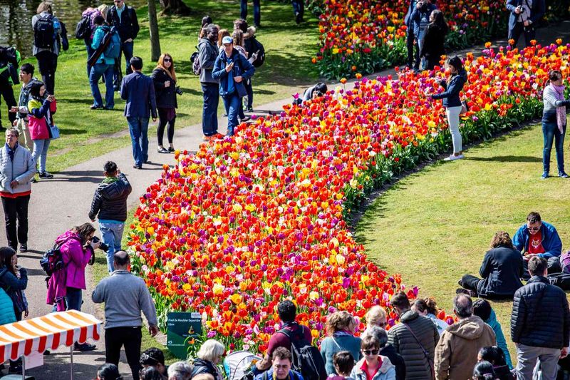 Keukenhof, Netherlands