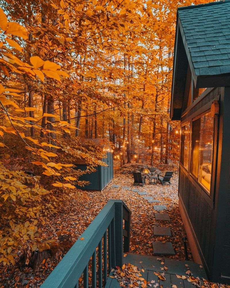 Cozy Lakeside Cabin Stay