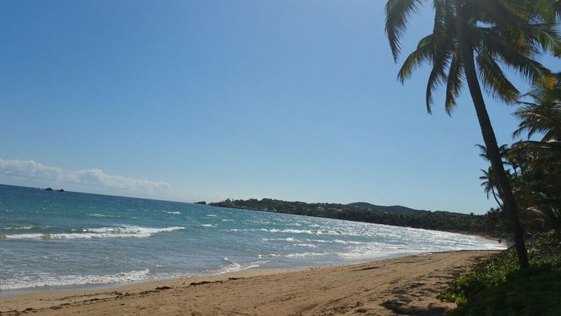 Crescent Cove