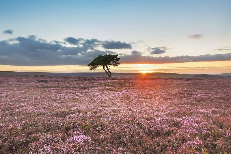 North York Moors National Park