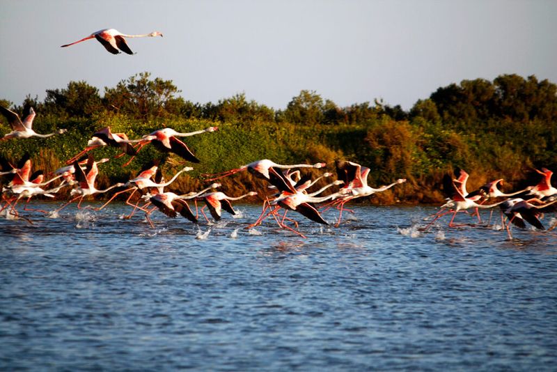 Ria Formosa Natural Park