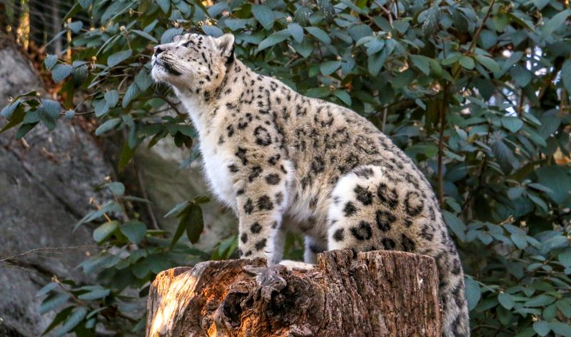 Rhode Island - Roger Williams Park Zoo