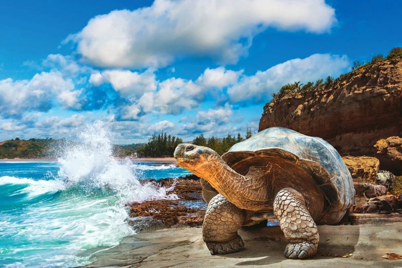 Galápagos Islands, Ecuador