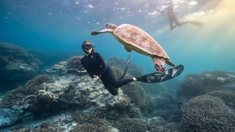 Great Barrier Reef, Australia